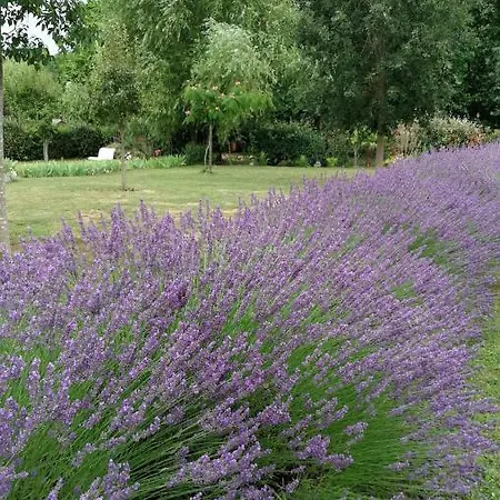 Le Lavoir Guest house 3*