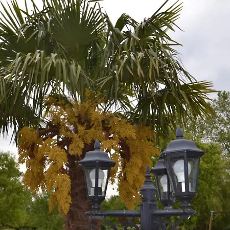 Le Lavoir 3* Fontaines (Pays de la Loire)